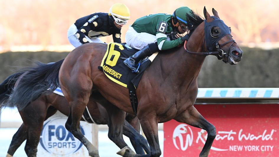 Iron Honor, Aqueduct, 2026 Gotham Stakes, road to the Kentucky Derby